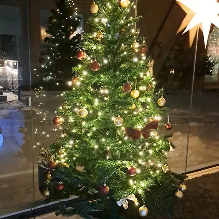 Lejlighed Cozy Marjaviita